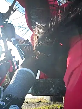 bellapaty online show from February 2026 11:04:02 AM