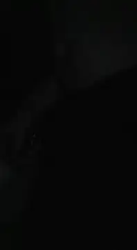 Bi curious86 online show from November 2025 04:44:02 AM