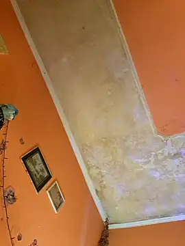 Snapshot of ducicsajsziii chatting on January 2025 07:25:01 AM ducicsajsziii online show from January 2025 07:25:01 AM