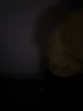 demonslayerr999 online show from January 2025 09:53:02 AM