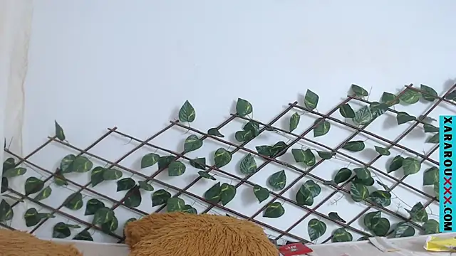 Latina BigBoobs online show from March 2025 11:05:02 PM