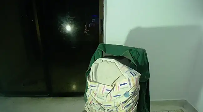 HugeDanex online show from January 2025 09:08:01 AM