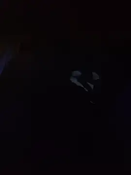 Hotbodyscottie online show from March 2026 09:05:02 AM