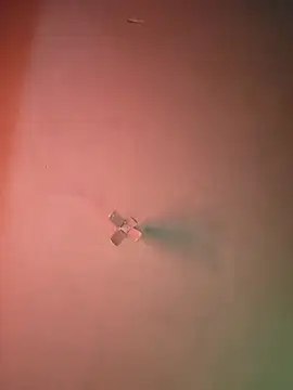 Ricorryxh online show from September 2025 05:07:02 AM