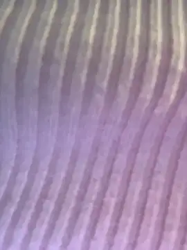 Snapshot of Isabellafantazy chatting on December 2025 04:01:01 PM Isabellafantazy online show from December 2025 04:01:01 PM