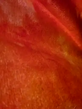 SmokeShow686 online show from March 2025 01:50:02 PM