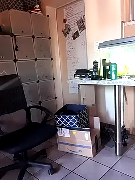 Hippiep online show from March 2025 01:38:02 PM