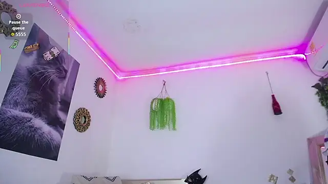 huge armound online show from March 2026 07:39:02 PM