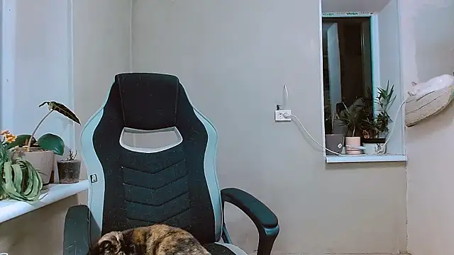 Snapshot of RosaJil chatting on November 2025 03:58:02 PM RosaJil online show from November 2025 03:58:02 PM