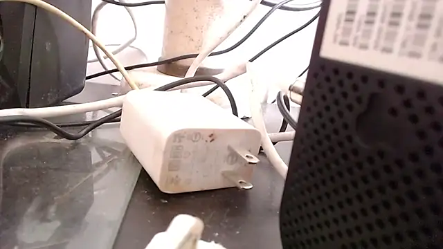 Snapshot of bardotbigcockts chatting on September 2025 08:01:02 PM bardotbigcockts online show from September 2025 08:01:02 PM