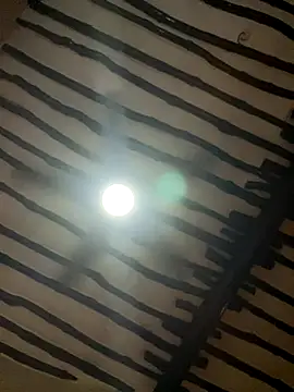 petiteebony 81 online show from November 2025 06:31:02 PM