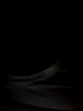 Mr Perfect Man online show from January 2025 11:09:01 PM