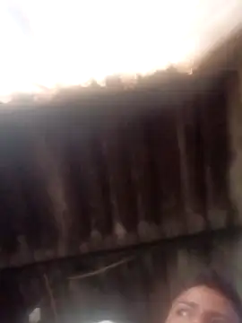 dantero online show from January 2025 03:36:02 PM