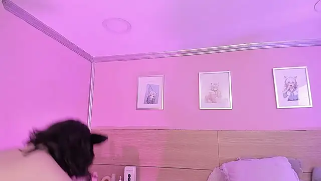 Sachi Meow online show from March 2025 05:48:02 PM