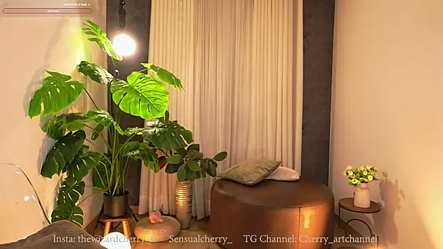 Snapshot of Miss_beee chatting on May 2026 12:08:01 AM Miss beee online show from May 2026 12:08:01 AM
