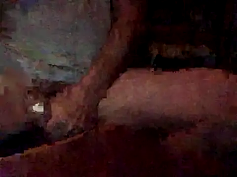 Snapshot of Nodsride chatting on December 2025 03:36:01 AM Nodsride online show from December 2025 03:36:01 AM