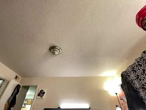 4EVAGLACIERS online show from January 2025 08:18:02 AM