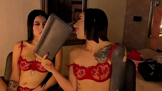 catalina  23 online show from February 2025 11:04:01 PM