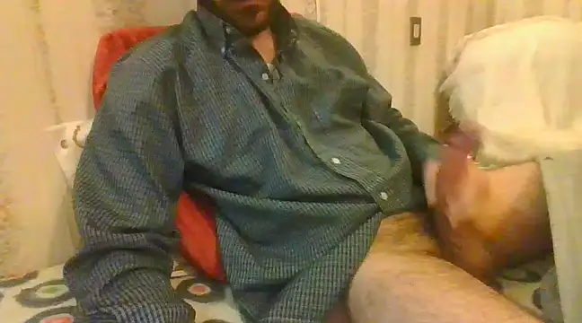 tozebrito hd online show from February 2025 01:27:01 PM