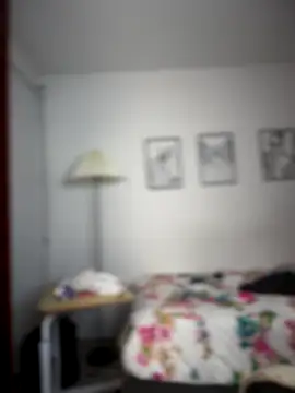 horny roomiess online show from November 2025 11:49:02 PM