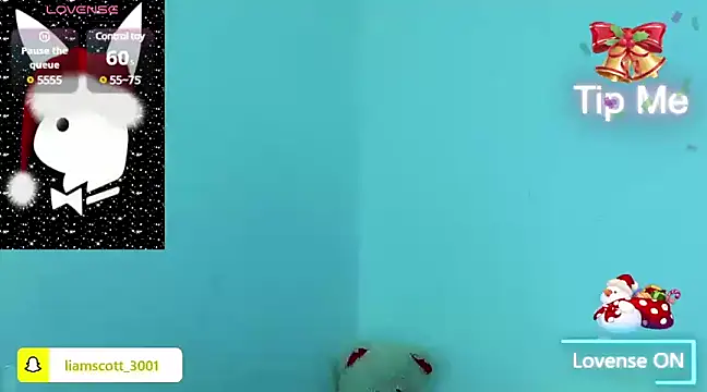 Liamscott  online show from December 2024 02:39:01 AM