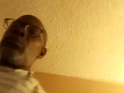 Blkstylion online show from February 2026 08:06:01 PM