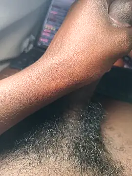 no1belike1 online show from March 2026 11:33:01 PM