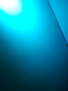 nicedicknicetats online show from October 2025 05:08:01 AM