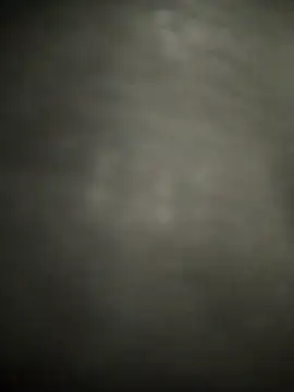 FantasticWonders9 online show from April 2026 11:24:02 PM