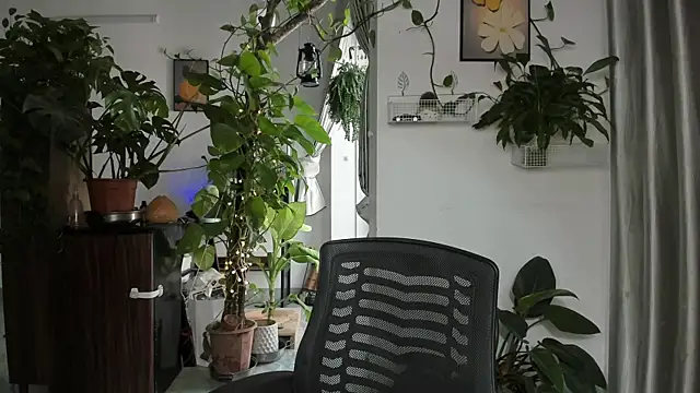 Snapshot of Oliver_Nl chatting on December 2025 05:02:02 AM Oliver Nl online show from December 2025 05:02:02 AM