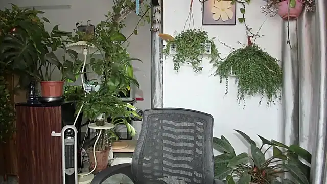 Oliver Nl online show from April 2026 04:46:02 AM