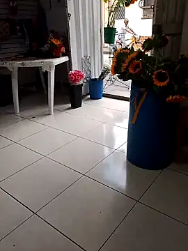 Snapshot of VivienAndClark chatting on October 2025 07:25:02 PM VivienAndClark online show from October 2025 07:25:02 PM