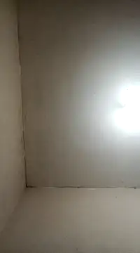 fieltoprj1 online show from January 2025 08:11:01 AM