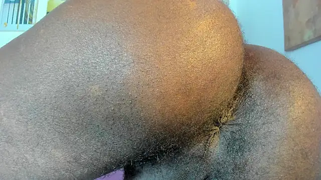 bigcock latin1 online show from January 2026 03:31:01 AM