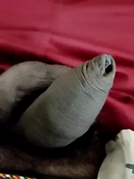 Snapshot of Ashish02345 chatting on January 2025 08:22:01 PM Ashish02345 online show from January 2025 08:22:01 PM