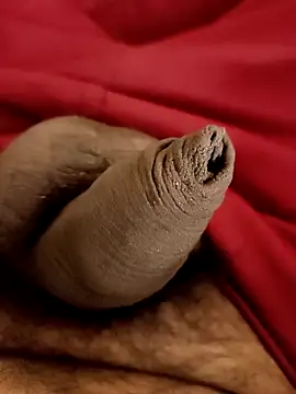 Snapshot of Ashish02345 chatting on January 2025 08:31:02 PM Ashish02345 online show from January 2025 08:31:02 PM