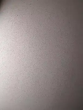 Dogz n daugthers online show from December 2024 07:48:02 PM