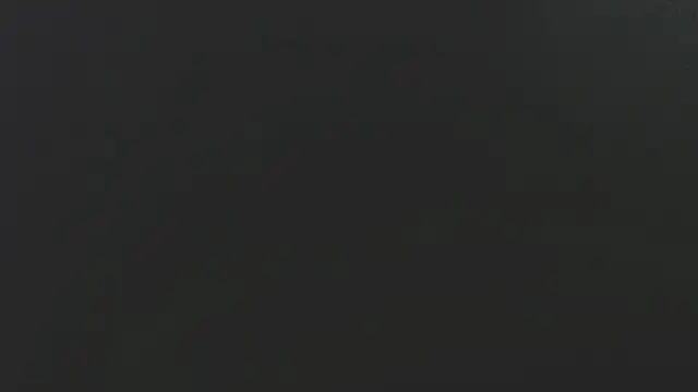 Dogz n daugthers online show from February 2025 03:21:02 AM