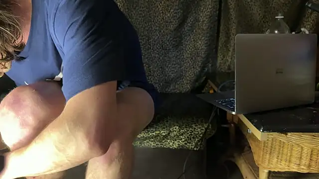 Dogz n daugthers online show from March 2026 10:04:01 AM