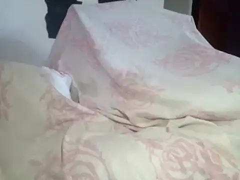 Snapshot of aritolapiz chatting on February 2026 09:10:02 PM aritolapiz online show from February 2026 09:10:02 PM