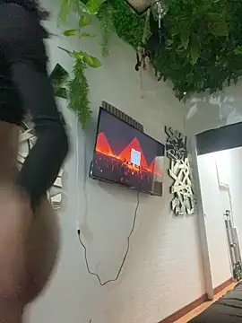 tamarabigass1 online show from November 2025 05:34:01 AM