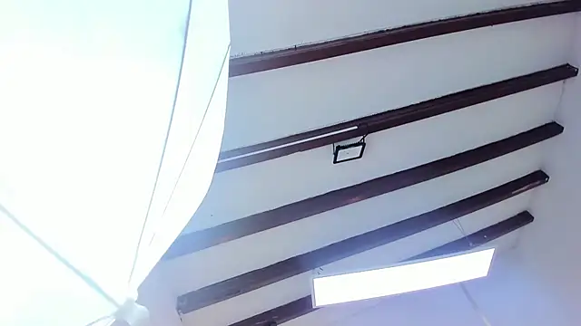 Oriana Guzman online show from February 2025 06:41:01 PM