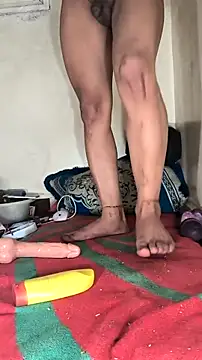 trans511 online show from November 2025 03:25:02 PM