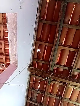 rau 4455 online show from December 2025 06:04:02 PM