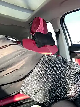  AHHA  online show from February 2025 10:59:01 AM