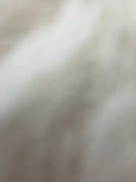 NewLale online show from January 2025 06:30:02 AM