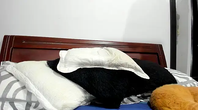 Snapshot of aleziiacam chatting on February 2025 03:11:02 AM aleziiacam online show from February 2025 03:11:02 AM