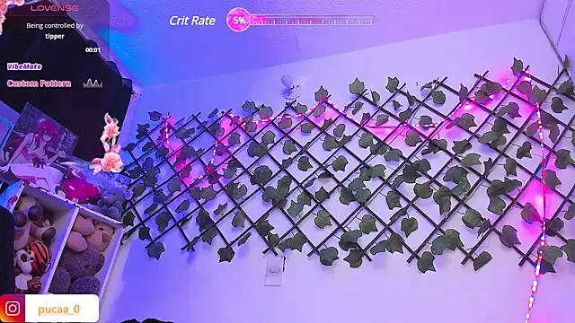 Pucaa  online show from January 2025 12:57:02 AM