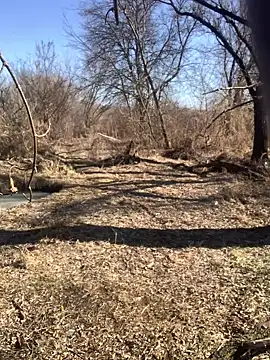 Boysex227 online show from March 2025 08:11:01 AM