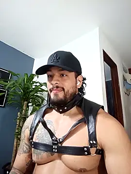 SilvaBranko online show from December 2025 12:49:02 AM